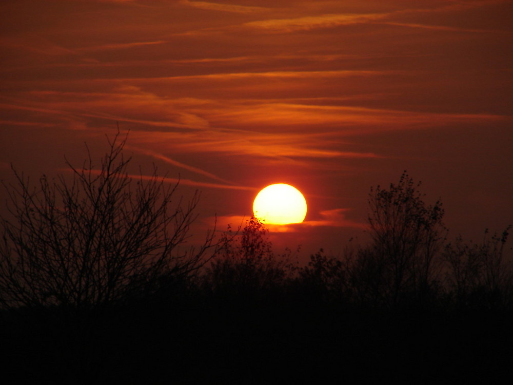 Nun ist wieder die Zeit der traumhaften Himmel Bild 1