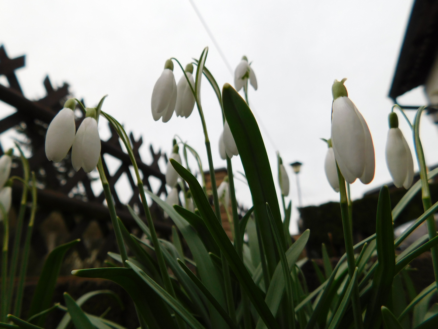 Nun kann der Frühling langsam kommen