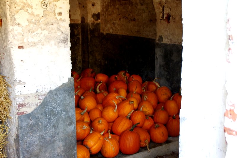 Nun kann Halloween kommen