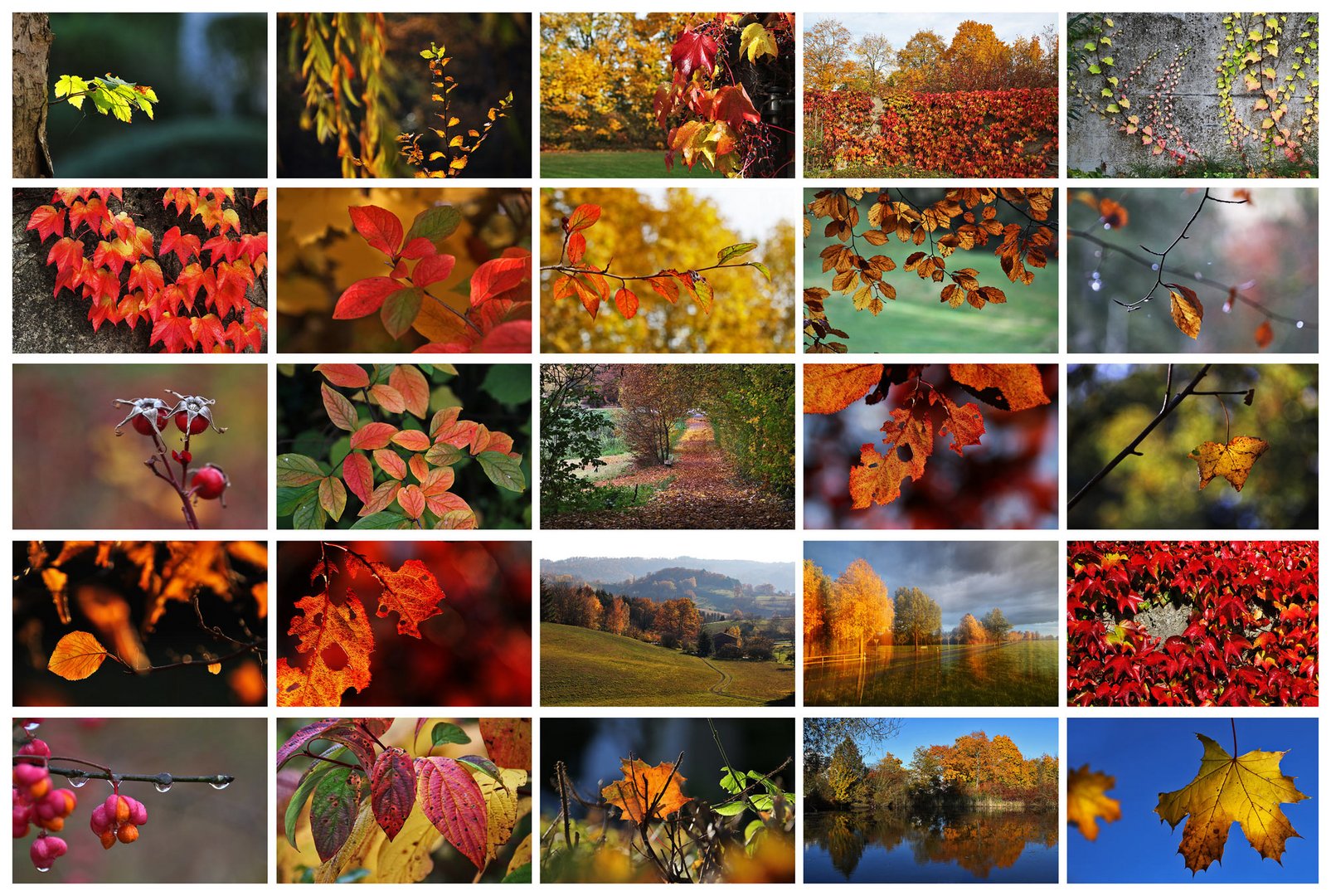 nun kommt der Abschied vom Herbst