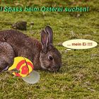 Nun kommt der Osterhase bald .....