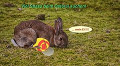 Nun kommt der Osterhase bald .....