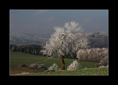 Nun kommt der Winter doch... 2