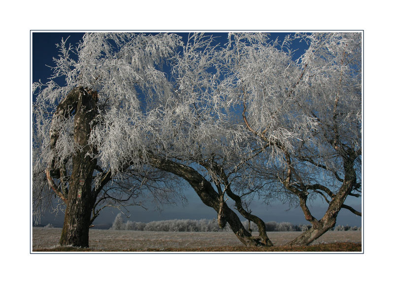 Nun kommt der Winter doch...