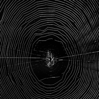 Nun kommt endlich.....