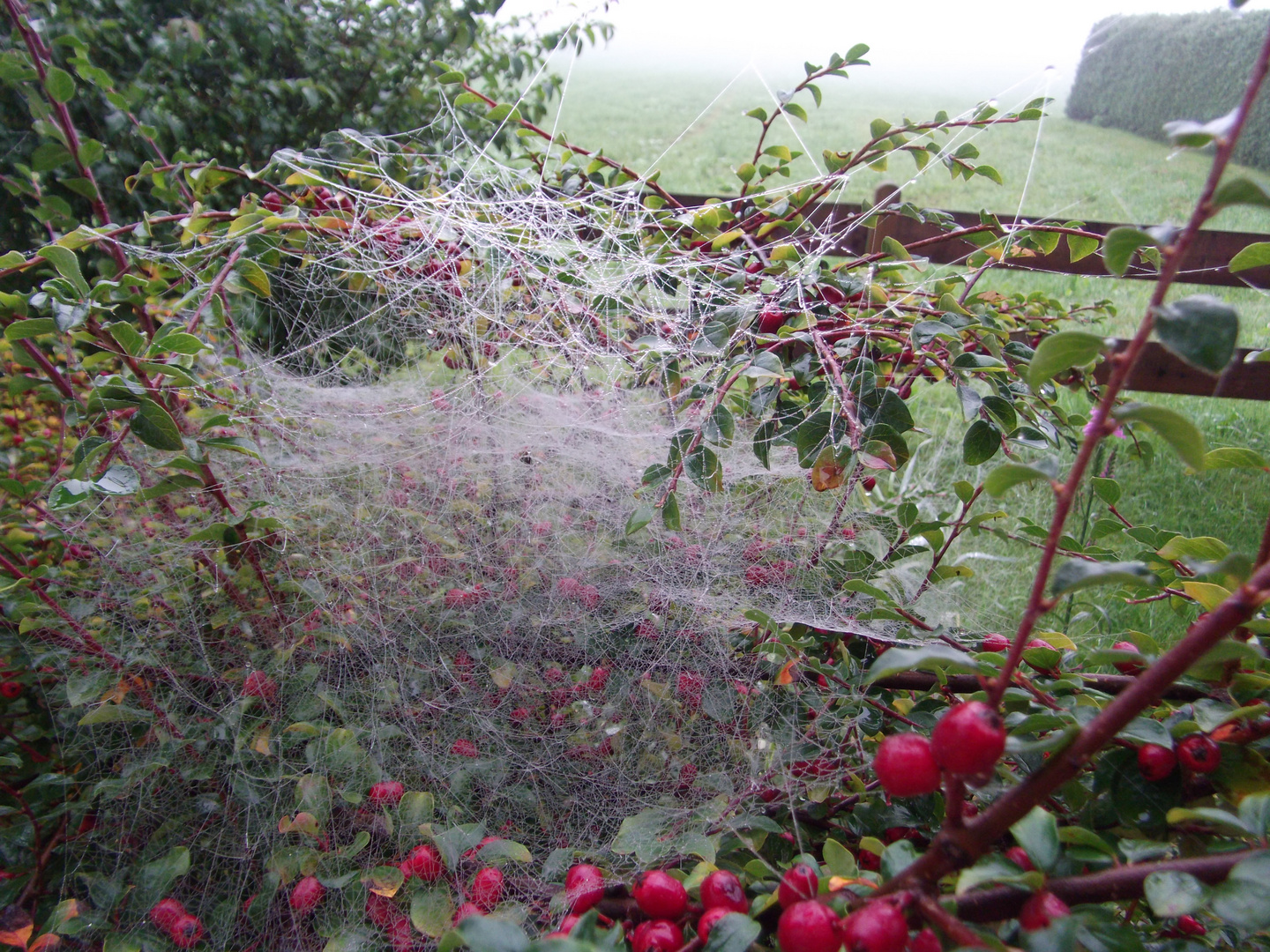 Nun kommt er, der Altweibersommer