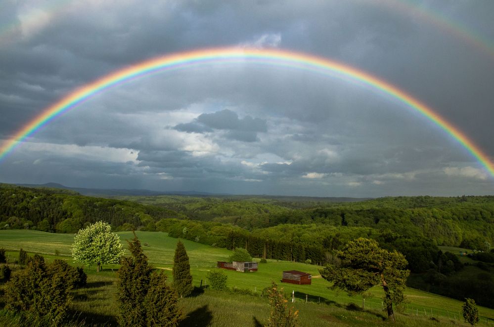 nun nach dem Regen am freitag in der Eifel kam die Sonne