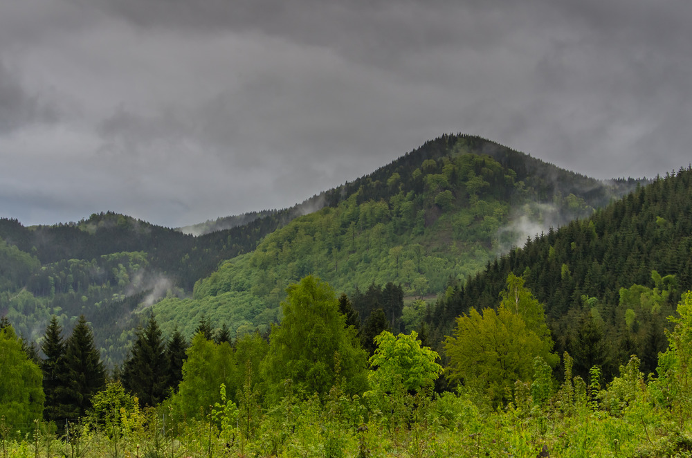 Nun ruhen alle Wälder