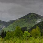 Nun ruhen alle Wälder