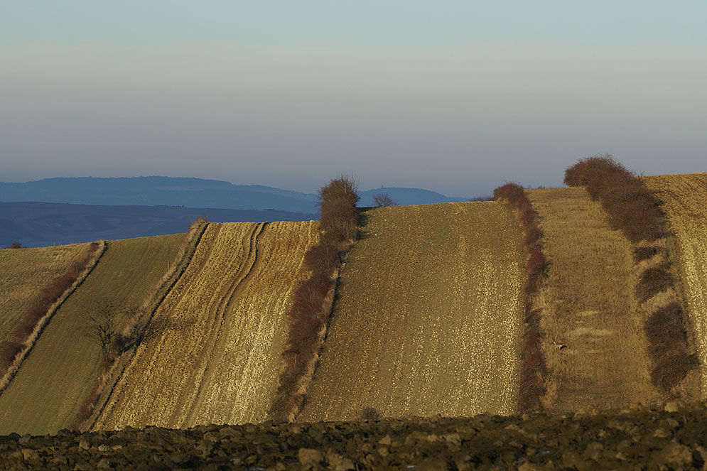 . . nun ruht sie offiziell, die Landschaft . .