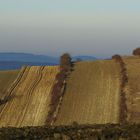 . . nun ruht sie offiziell, die Landschaft . .