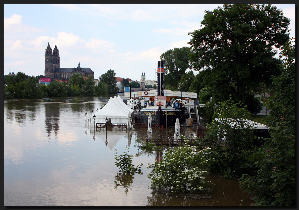 ...Nun schwimmt sie wieder...