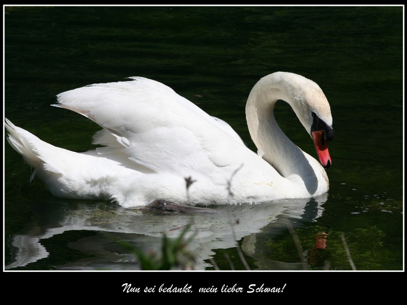 Nun sei bedankt...