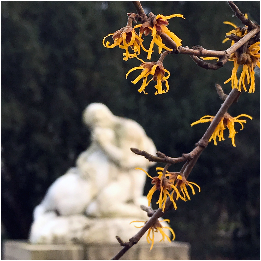 Nun steht der Frühling vor der Tür