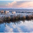 Nun steht der Winter vor der Tür ...