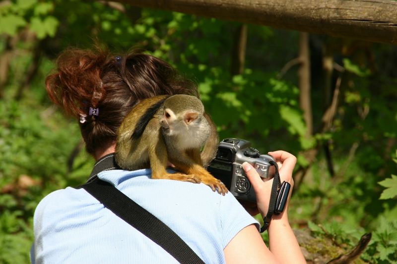 nun versuch mal mich zu fotografieren !