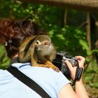 nun versuch mal mich zu fotografieren !