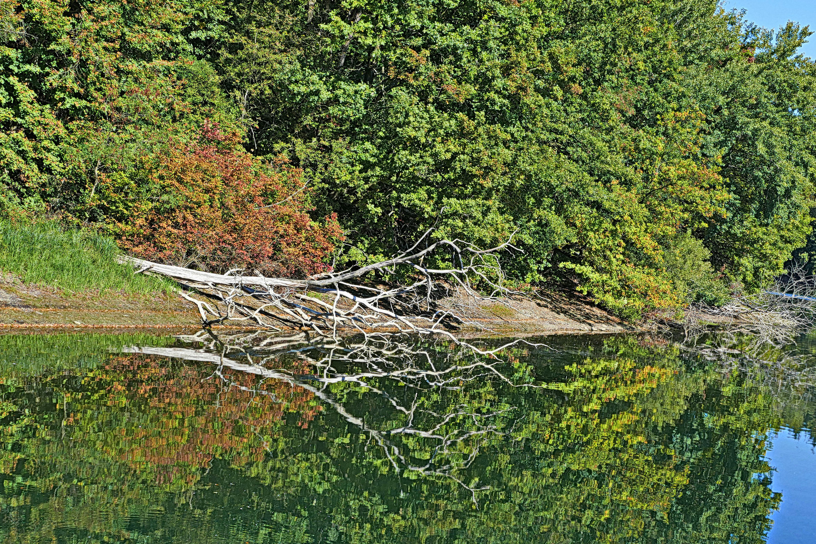 nun will der Herbst sich spiegeln