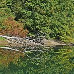 nun will der Herbst sich spiegeln