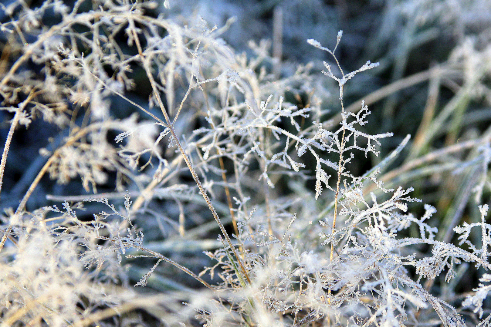 Nun wird es doch Winter in der Lausitz,...