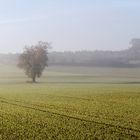 Nun wird es Herbst