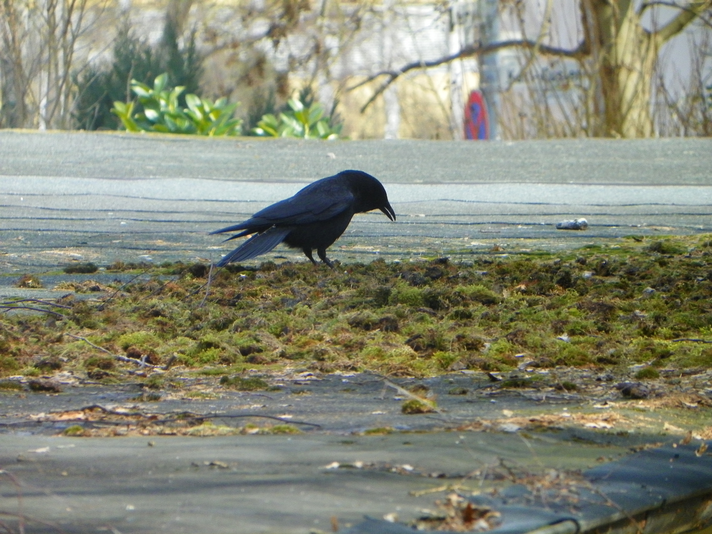 Nun wo ist denn was zum Futtern