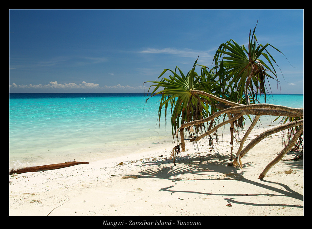 Nungwi I - Zanzibar Island - Tanzania 2008