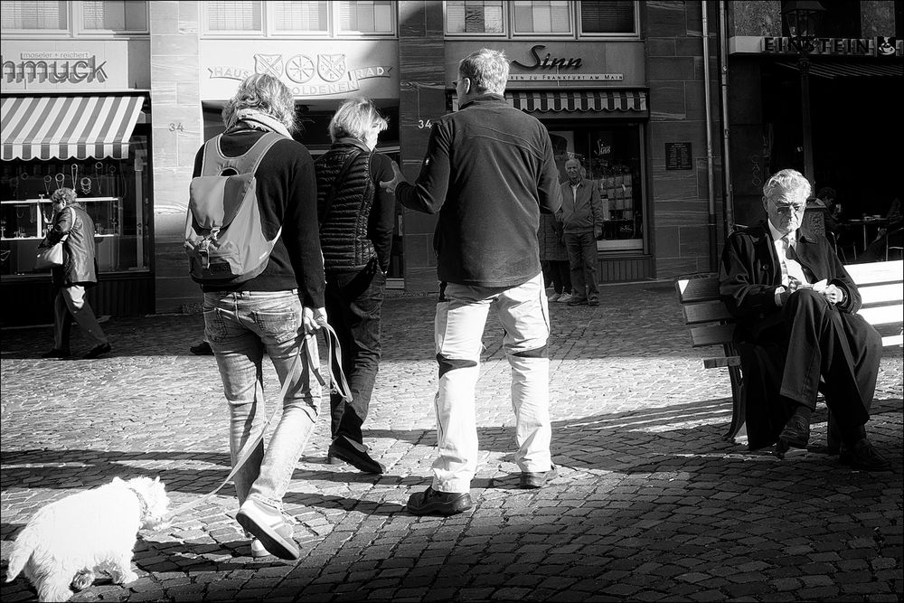 nur als jemand einen Schatten auf ihn warf, hat er aufgesehen