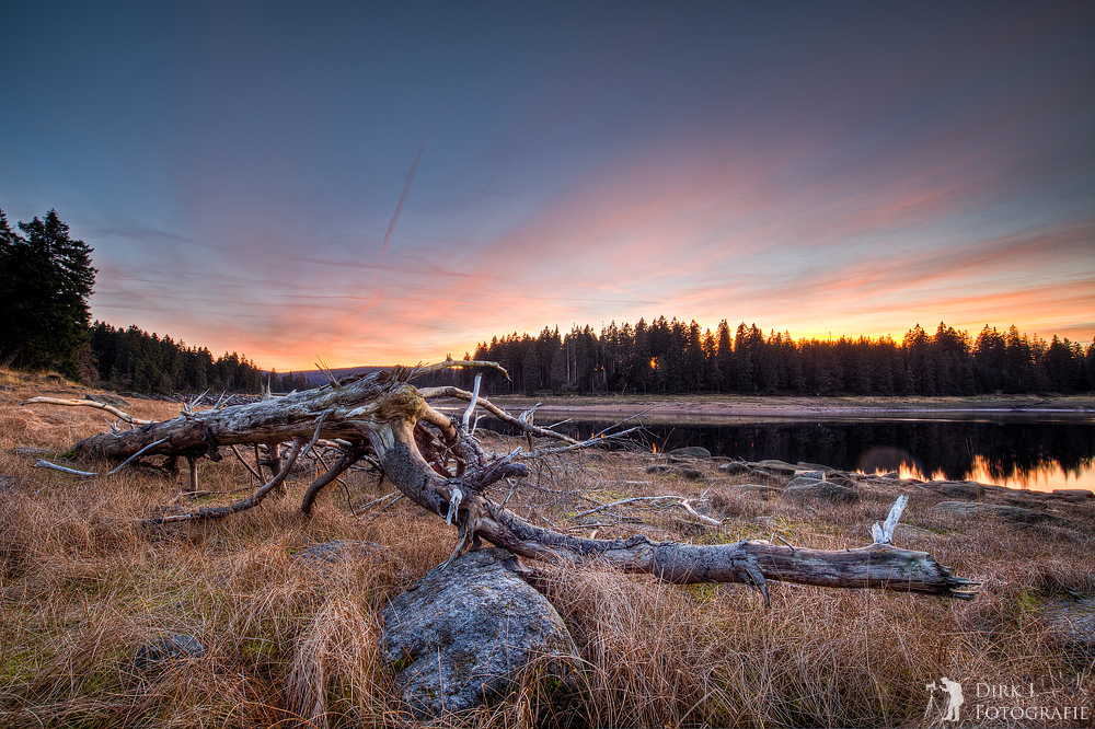 ***Nur altes Holz***