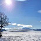 Nur am Alpenrand: sonnig