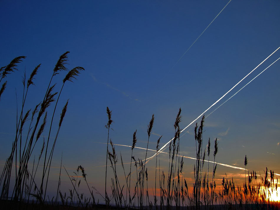 nur das rauschen vom reed