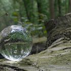 Nur den LensBall genommen