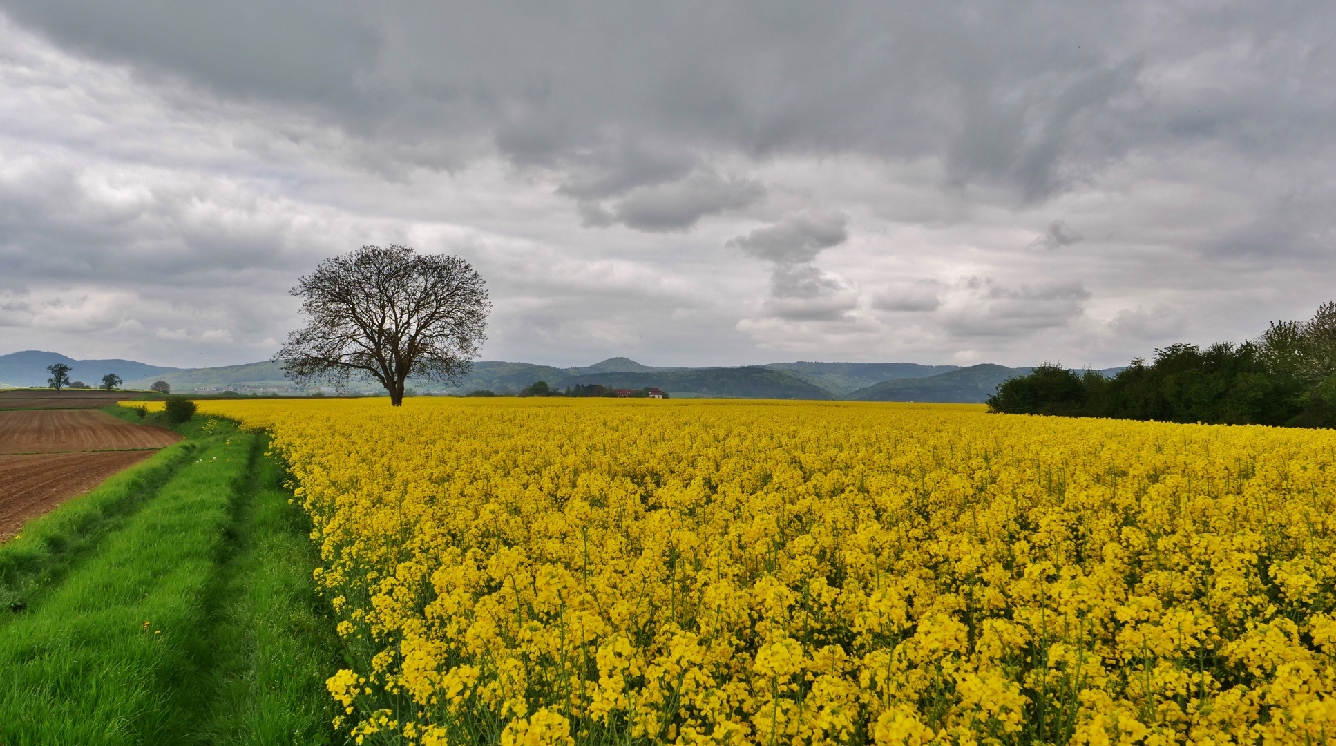 Nur den Wind als Freund