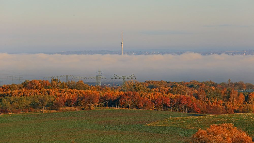 Nur der Dresdner Fernsehturm "trotzt" dem Nebel