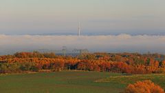 Nur der Dresdner Fernsehturm "trotzt" dem Nebel