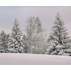 Nur der eiskalte Wind stört