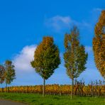 nur der Himmel war blau