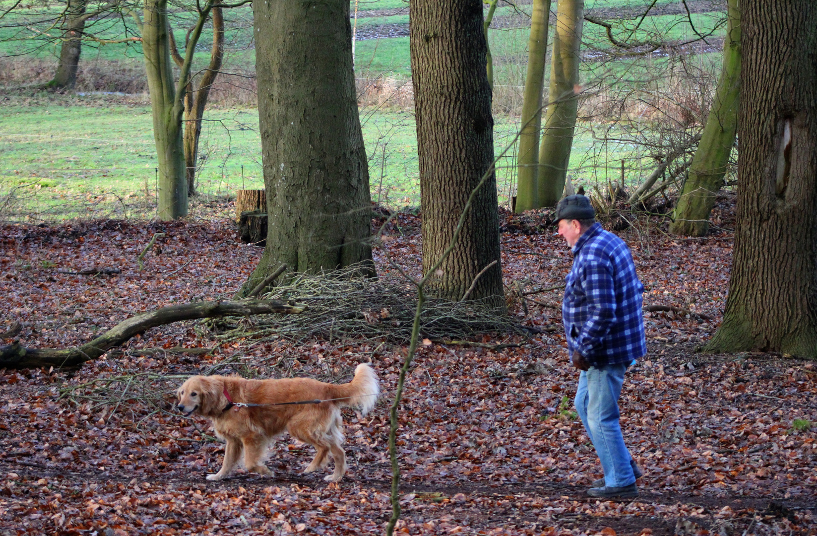 nur der Hund hat mich gesehen ...