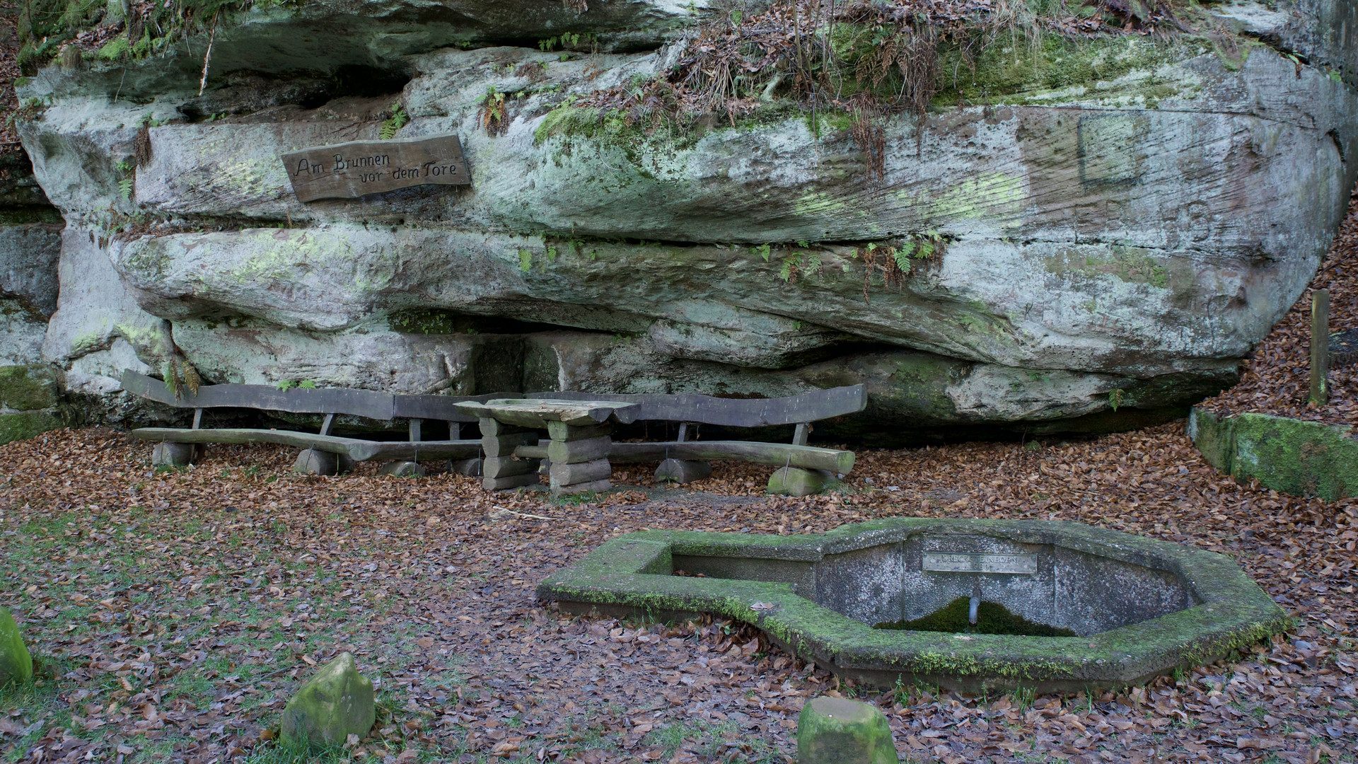 Nur der Lindenbaum fehlt