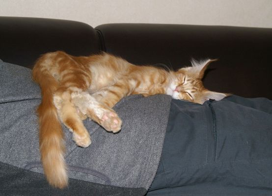 Nur der Moment zählt...