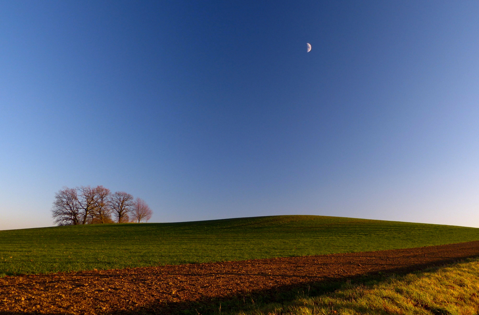 Nur der Mond schaut zu