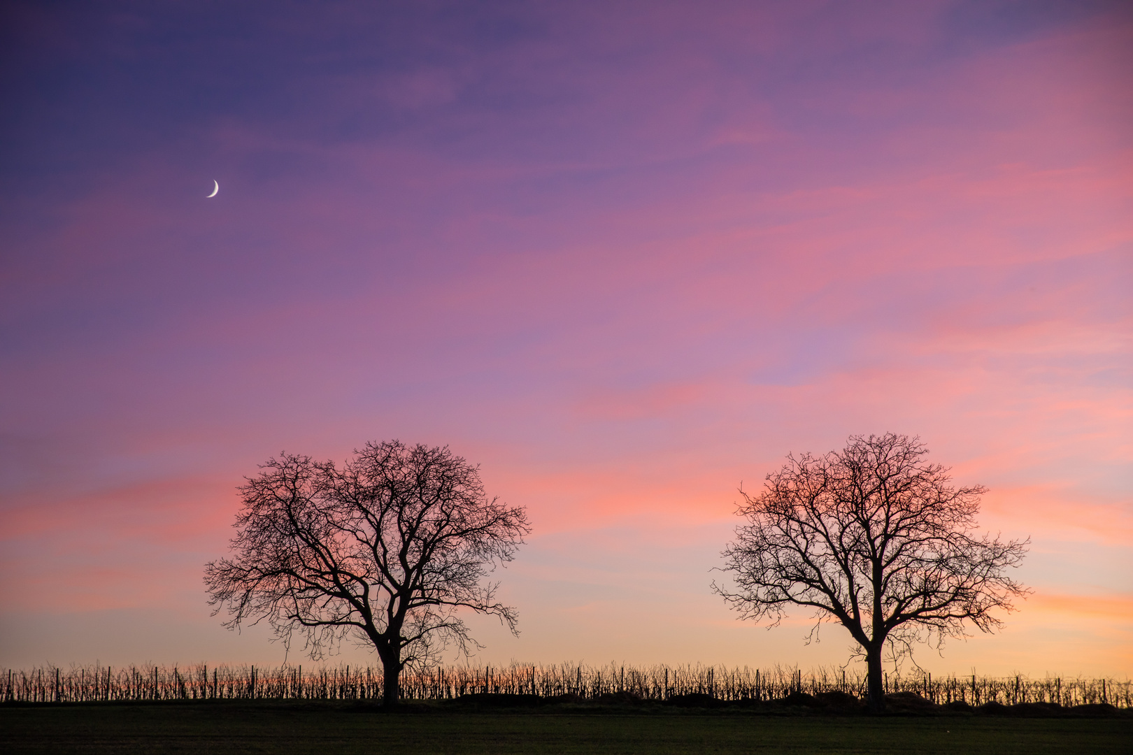 Nur der Mond schaut zu...