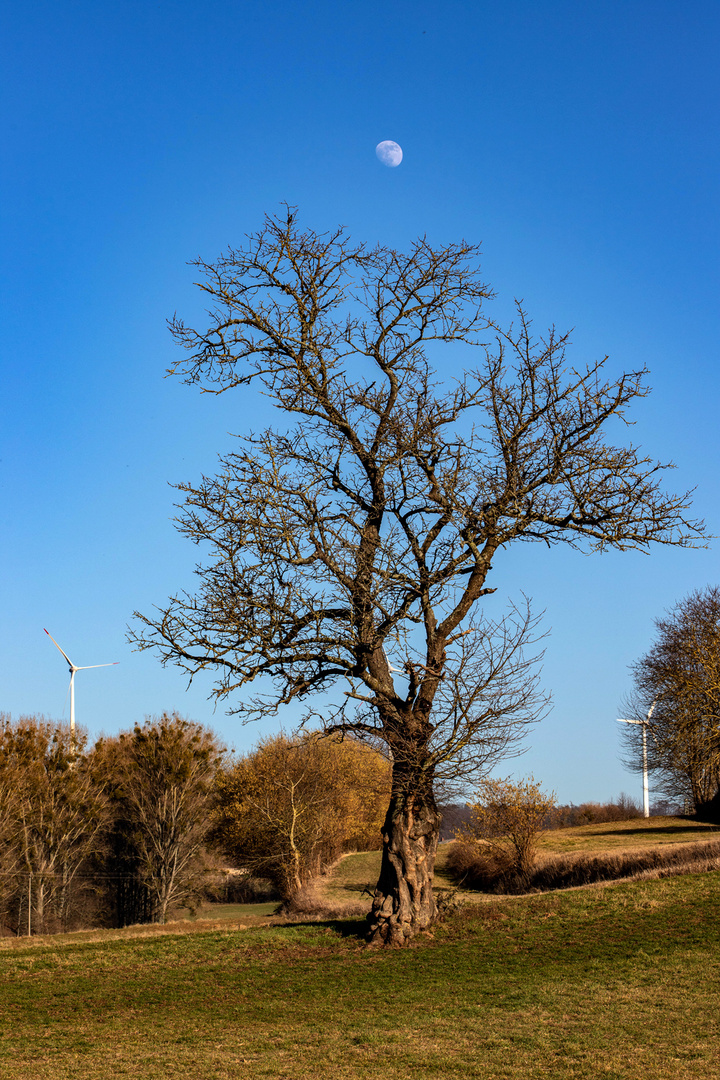 Nur der Mond schaut zu