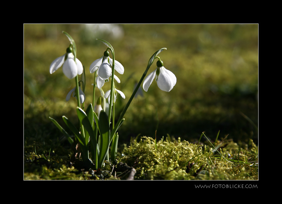 ... nur der Schnee fehlt