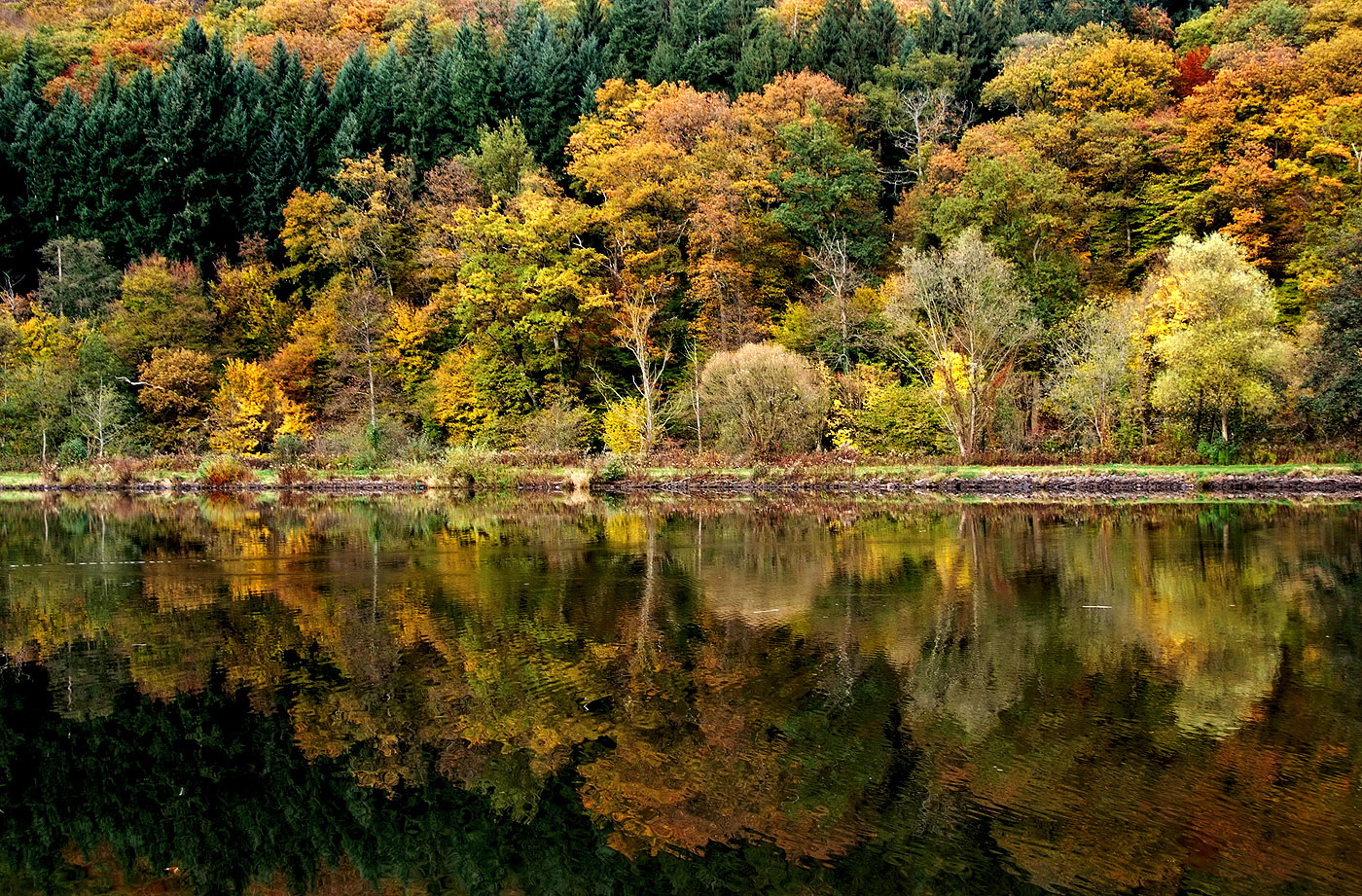 Nur die Enten, stören ein wenig die Stille ...