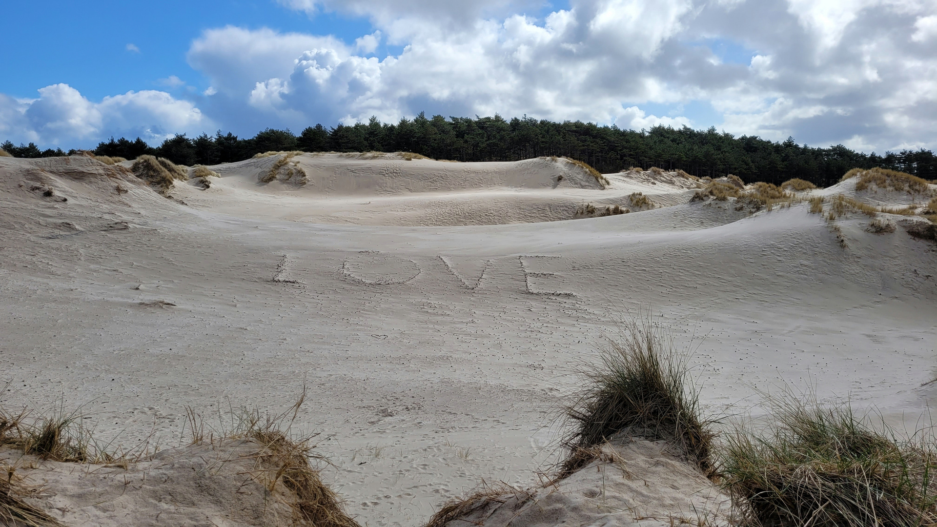 Nur die Liebe zählt