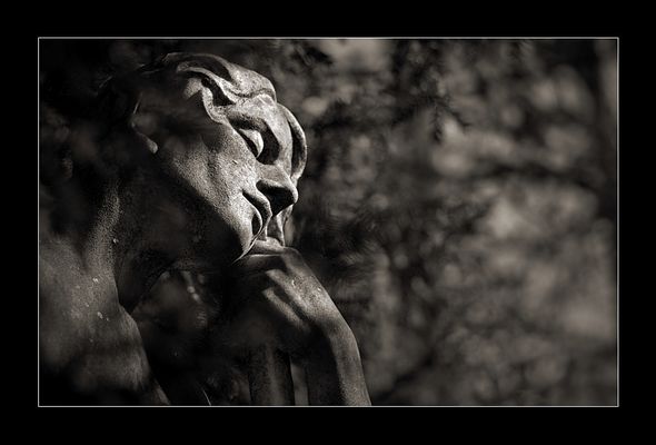 Nur die vergessliche Luft