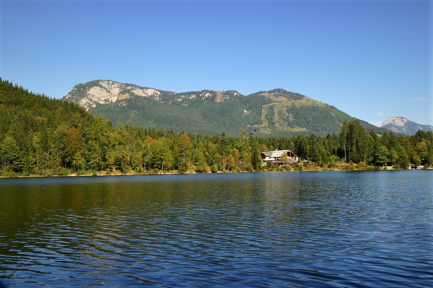 Nur die Wälder und Berge sind nicht blau