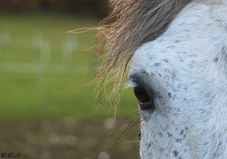 Nur ein Augenblick