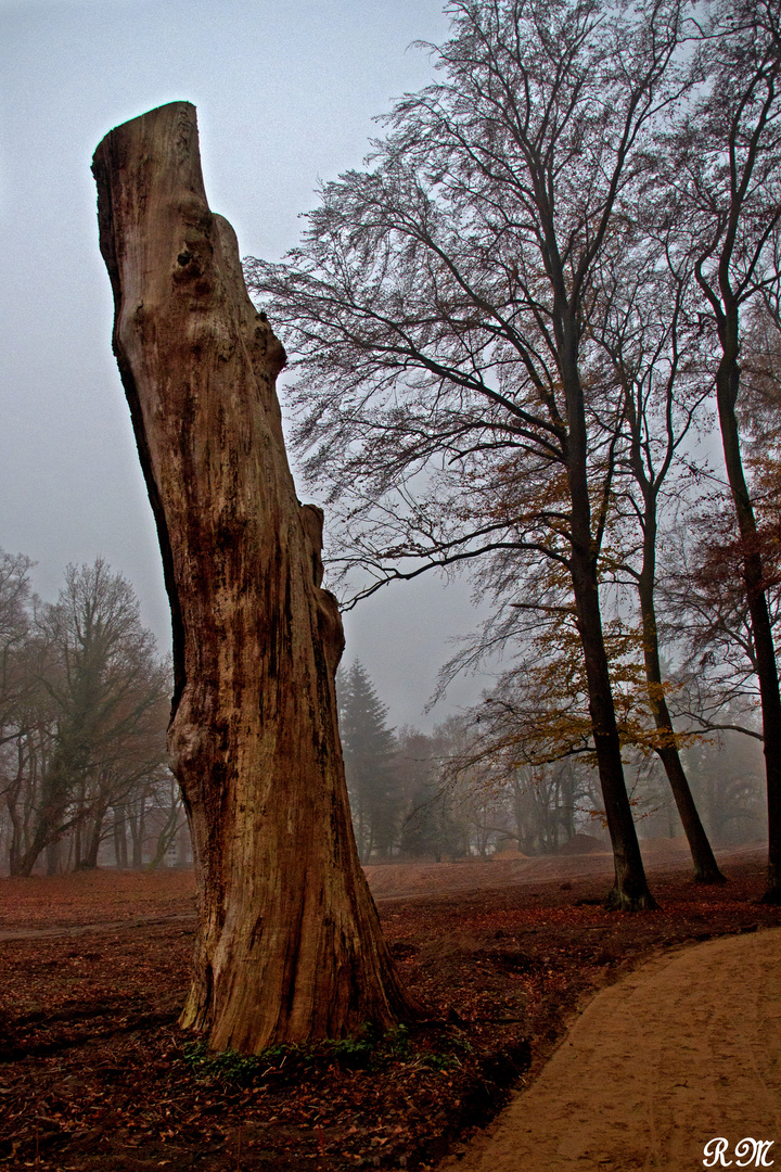 Nur ein Baum?